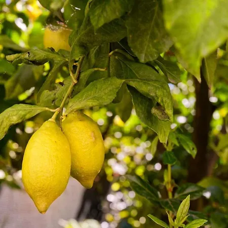 Σπίτι διακοπών Refugios Do Rio Dao *
