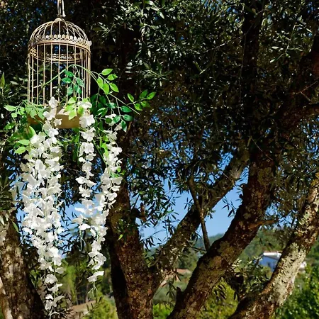Σπίτι διακοπών Refugios Do Rio Dao Mangualde