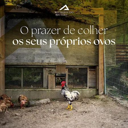 Refúgios Do Rio Dão Casa de Férias