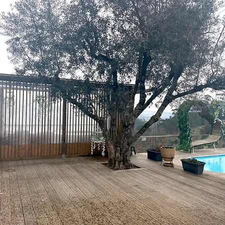 Refugios Do Rio Dao * Mangualde