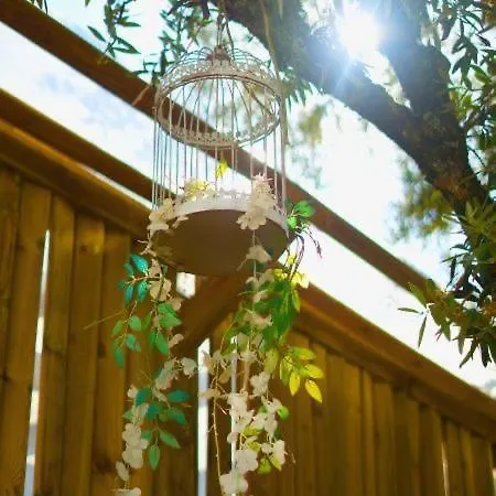 Refugios Do Rio Dao * Mangualde