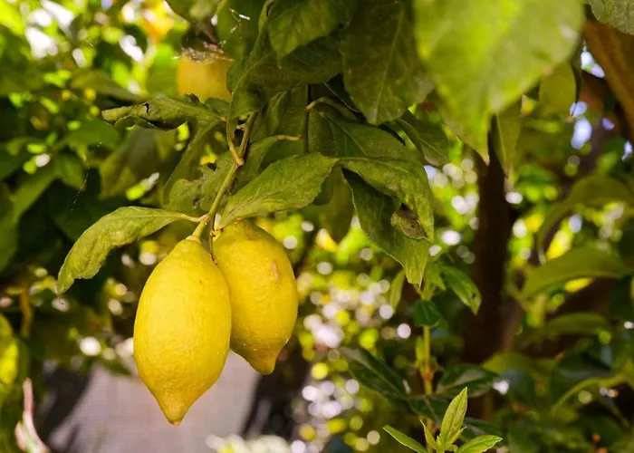 Hébergement de vacances Refugios Do Rio Dao *