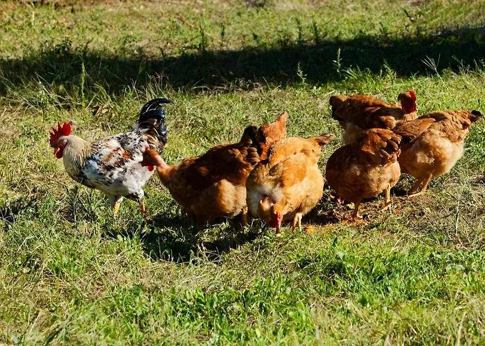 Hébergement de vacances Refugios Do Rio Dao