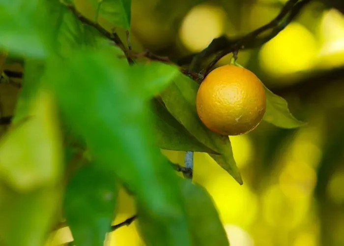 Hébergement de vacances Refugios Do Rio Dao