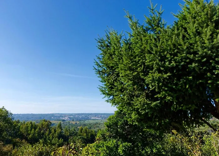 Refugios Do Rio Dao Mangualde