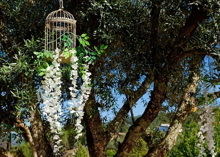 Hébergement de vacances Refugios Do Rio Dao Mangualde