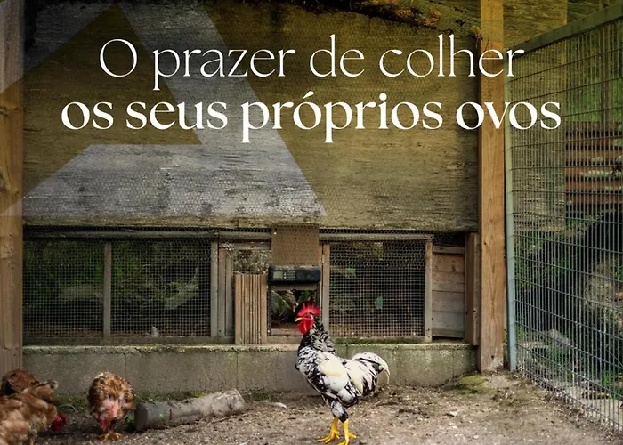 Refugios Do Rio Dao Hébergement de vacances