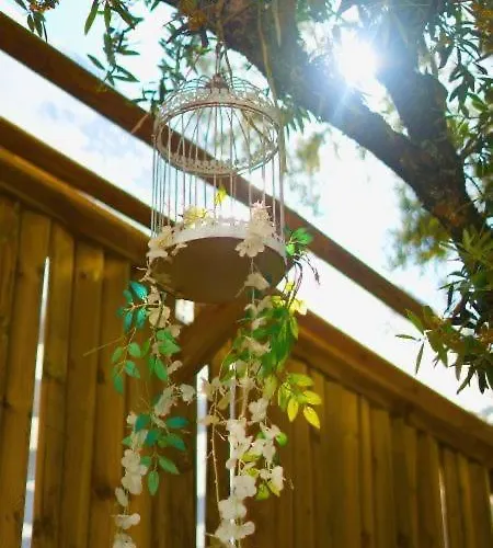 Refugios Do Rio Dao * Mangualde